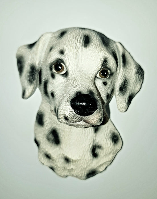 Dalmatian Magnet