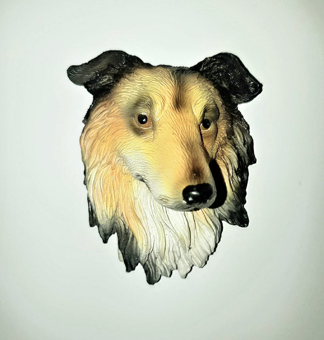 Collie Magnet