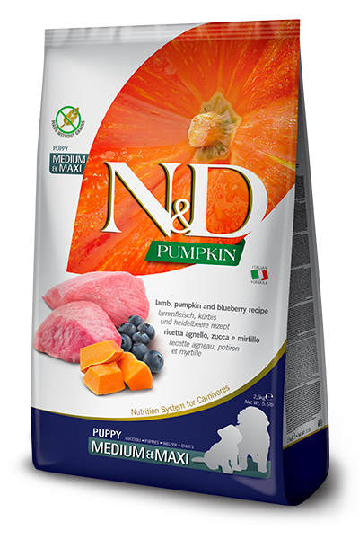 Farmina N&D Lamb, Blueberry & Pumpkin Dry Food For Puppy - Medium/Maxi