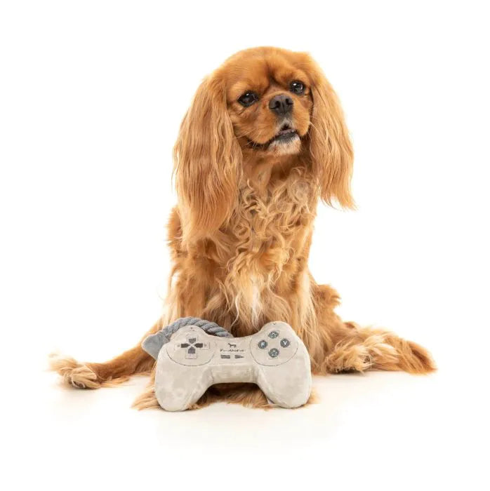 FuzzYard Dog Toy - PawStation Controller