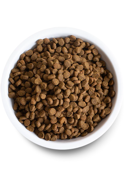 Open Farm Wild-Caught Salmon Dry Cat Food