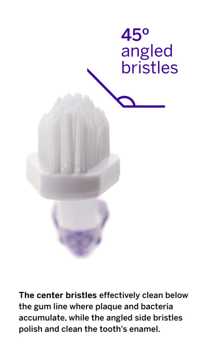 Petsmile Professional Dog Toothbrush - Patented 45° Dual-Ended Brush Head