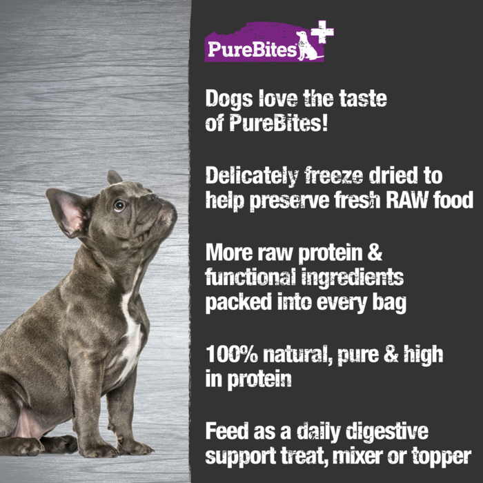 PureBites Gut & Digestion Formula Freeze Dried Dog Treat