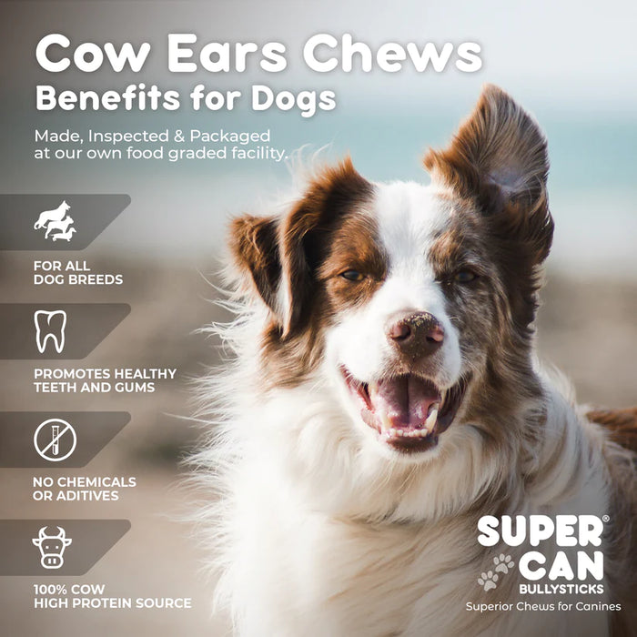Super Can Cow Ear