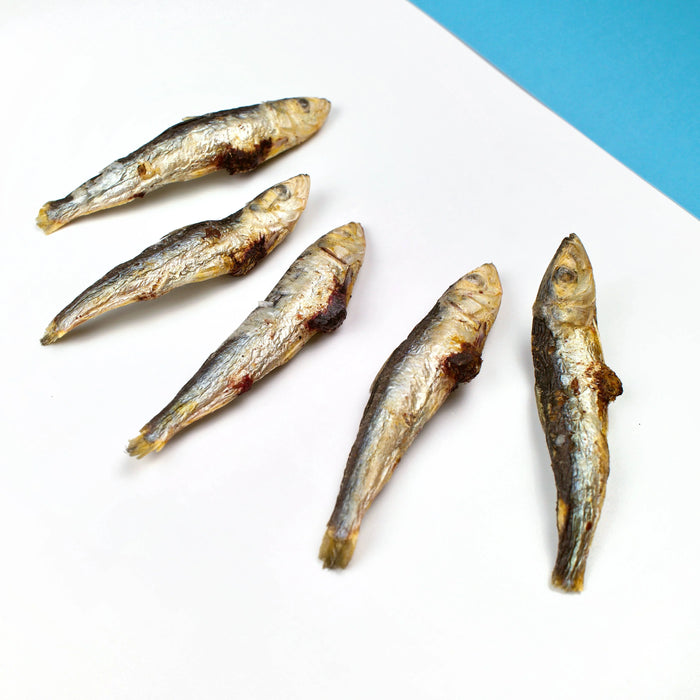 Wiggly Babies Freeze Dried Sardines