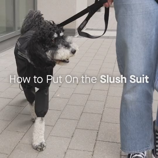 Canada Pooch Slush Suit