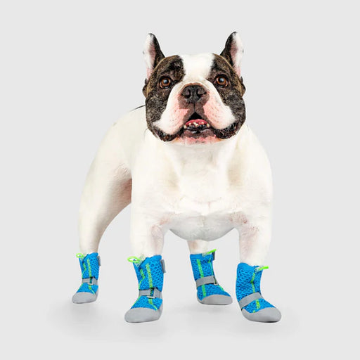 Dog Pavement Boots