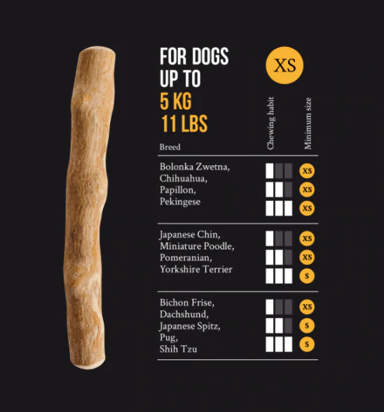 Dog Wood stick