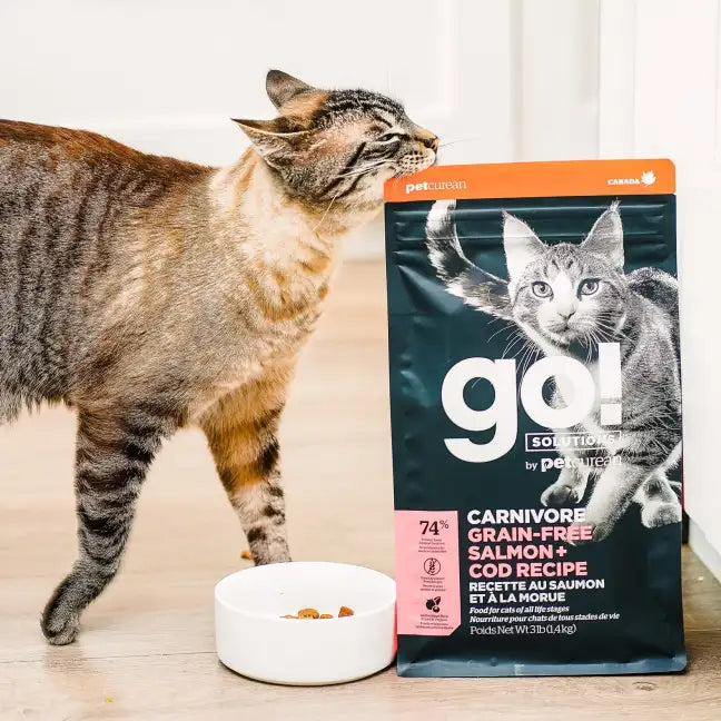 GO! Carnivore Grain-Free Salmon + Cod Receipe For Cat