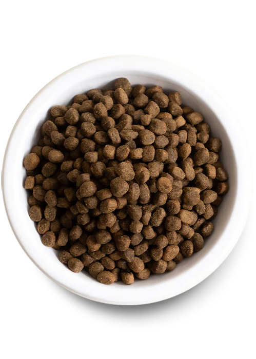 Open Farm Catch-of-the-Season Whitefish & Ancient Grains Dry Dog Food