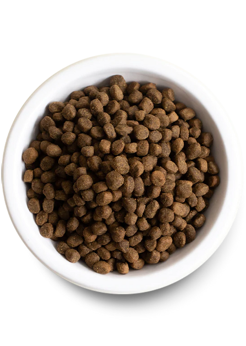 Open Farm New Zealand Venison Grain Free Dry Dog Food