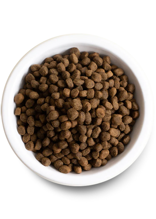 Open Farm Puppy Recipe Grain Free Dry Dog Food