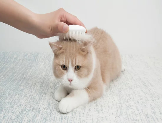PETKIT Paw Cleaner and Massager