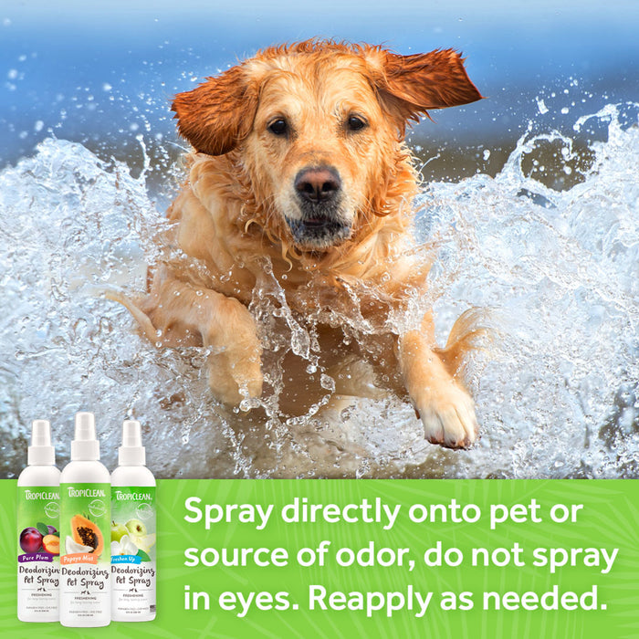 TROPICLEAN Pure Plum Deodorizing Pet Spray
