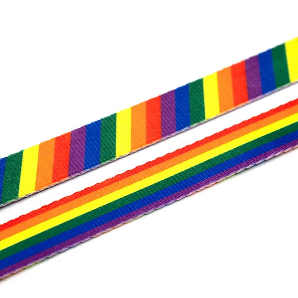 Woof Concept Pride Leashes